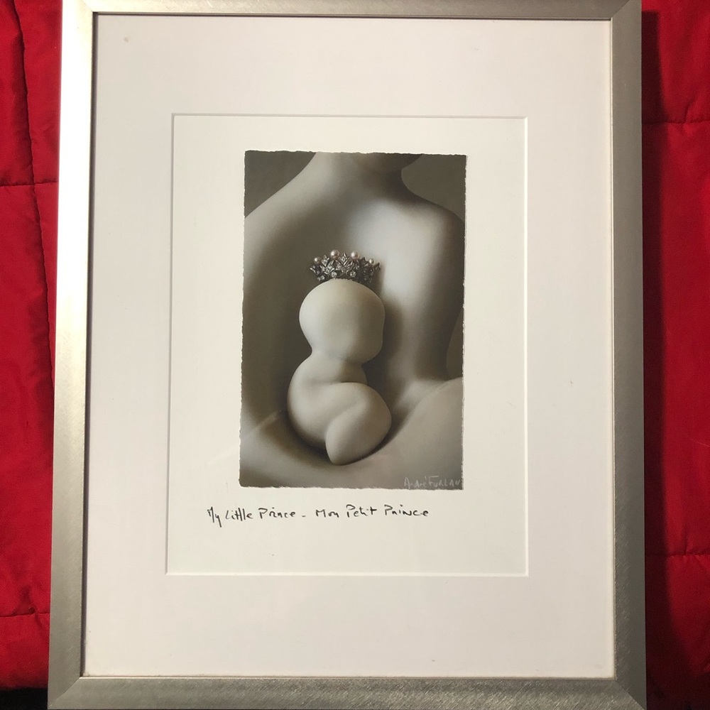 My Petite Prince Framed Photo of Sculpture Artwork by Andre Furlan EUC